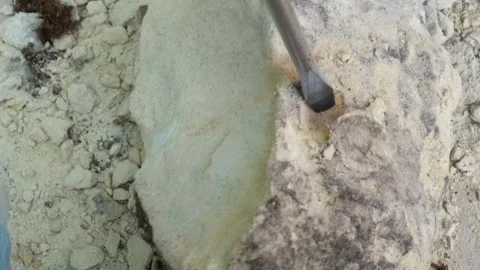Carefully splitting a Shell from a Rock of marlstone Stock Footage 276423760