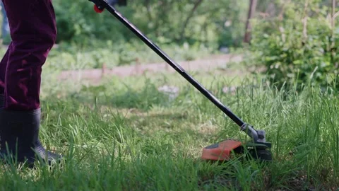 Carefully trimming the vibrant grass using a string trimmer in a lush, beautiful Stock Footage 312075905