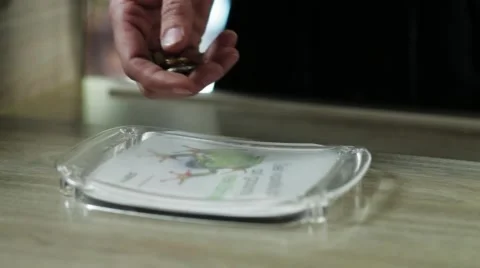 Carelessly dropping coins Stock Footage 49540803