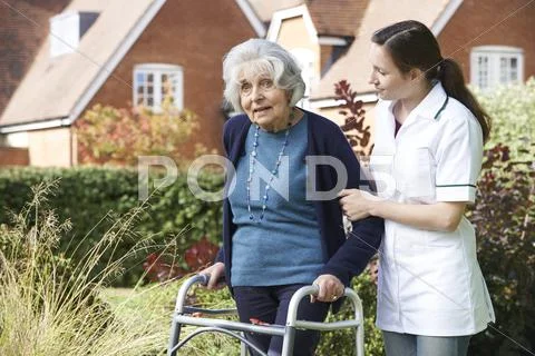 Carer Helping Senior Man To Walk In Garden Using Walking Frame Stock Photos
