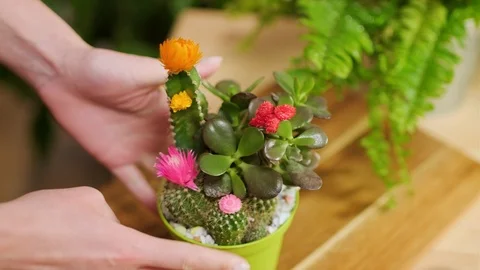 Cares for flowers Stock Footage 124281455