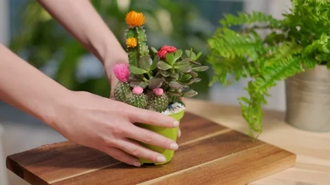 Cares for flowers Stock Footage 124281706