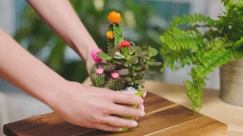 Cares for flowers Stock Footage 124282891