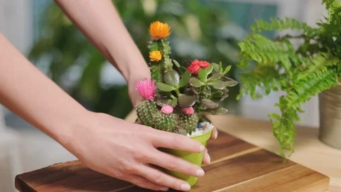 Cares for flowers Stock Footage 124283239