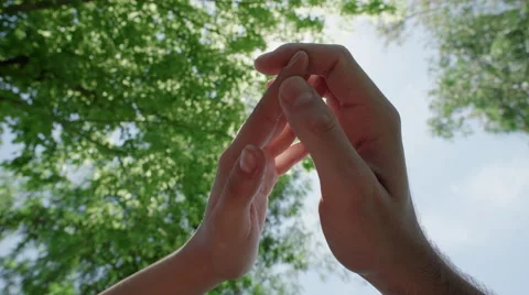 Caressing and holding hands under the sun in the park Vídeo Stock 64777522