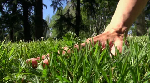 Caressing grass Stock Footage 25764678