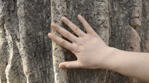 Caressing the history Vidéo 61806529