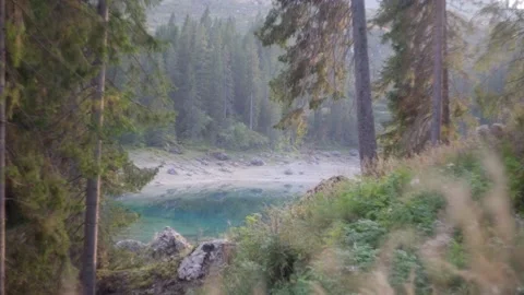 Carezza Lake through pines Stock Footage 237598763