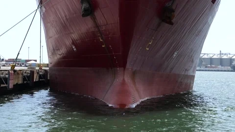 Cargo and container ship Stock Footage 306501843