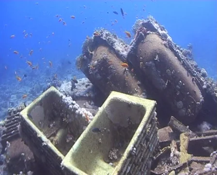 The Cargo and wreckage of a shipwreck encrusted with corals Yolanda 090406 Stock Footage 576853