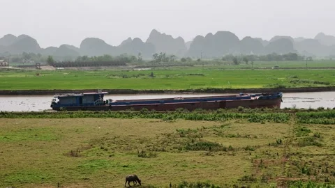 Cargo barge sailing on a river through rice fields in ninh binh, Vietnam Stock-Footage 335081344