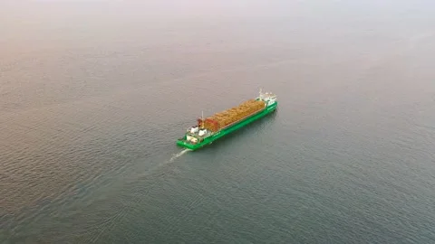 Cargo barge ship with timber logs floats in the sea bay Video stock 169039290