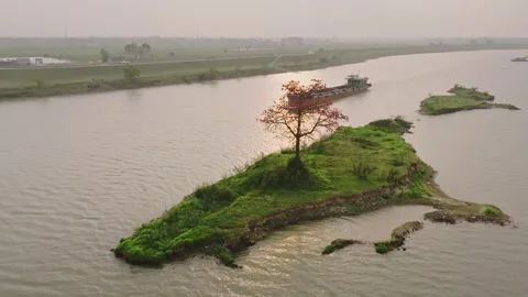 Cargo Boat Beyond Silk Cotton Tree Island at Sunset Stock Footage 345776003