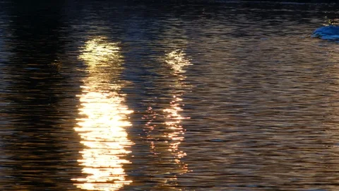 Cargo boat at the danube river Video stock 126526619