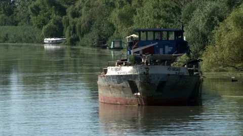 Cargo boat floating on river in summer day on background green forest. Video stock 137058619