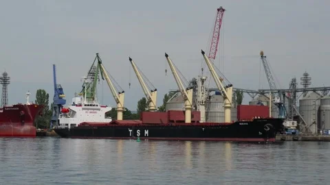 Cargo bulk carrier docked at port terminal for loading 库存影片 344054691