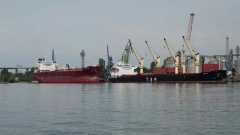 Cargo bulk carrier ships docked at an industrial seaport terminal Stock Footage 344054690