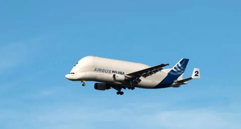 Cargo carrier 스톡 사진
