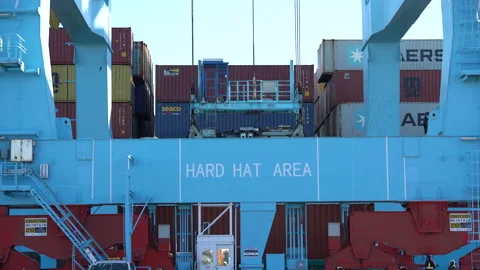 Cargo container being lifted by crane Video stock 171590949