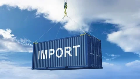 Cargo container. Container label: Import. Stock Footage 154736602