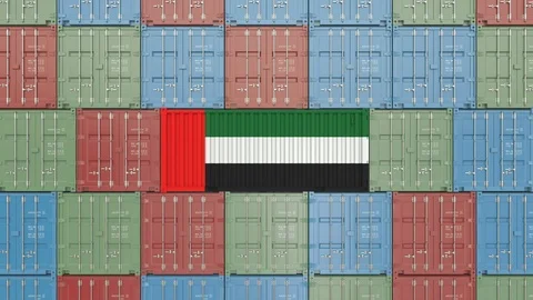 Cargo container with flag of the United Arab Emirates. UAE import or export Stock Footage 104933903