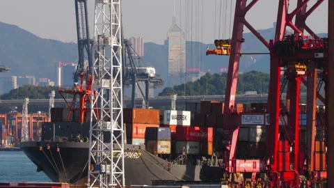 Cargo container ship loading with gantry cranes at Hong Kong port 動画素材 338354496