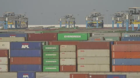 Cargo Containers And Hoisting Cranes Stock Footage 63086466