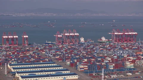 Cargo containers delivery time lapse. Freight shipping in port. Seaport harbor. Stock Footage 320246622
