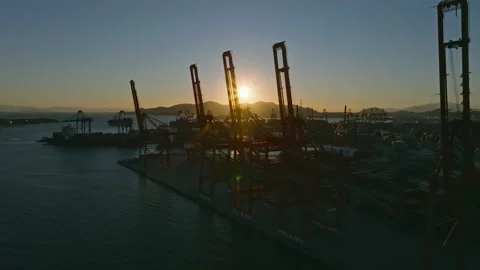 Cargo Cranes in the port at Sunset Stock Footage 236562128