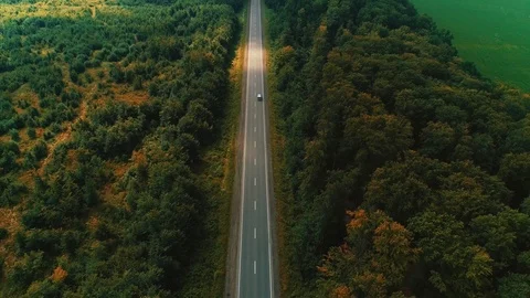 Cargo delievery concept. Beautiful terrain with road and beautiful dense forest Stock Footage