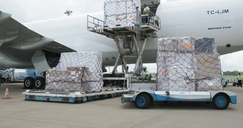 Cargo FreighterBusy frame cargo coming of frieghter Vidéo 241919181