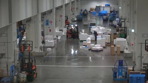 Cargo handling  of frozen fish boxes at the Toyosu fish market.  Tokyo, Japan Vidéo 102334097