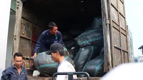 Cargo handling workers Stock Footage 69185585