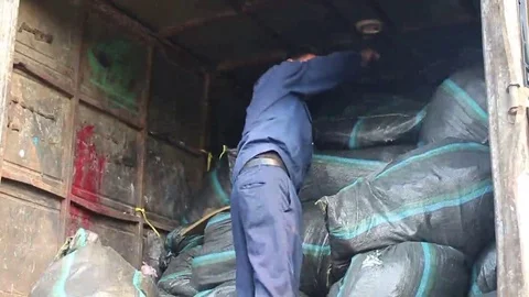 Cargo handling workers Stock Footage 69186288