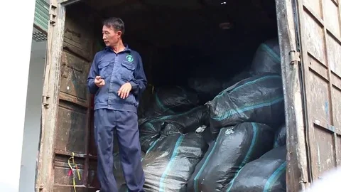 Cargo handling workers Stock Footage 69188216