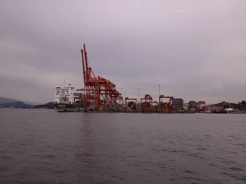 Cargo industrial ship terminal ocean cranes Stock Footage 78170773