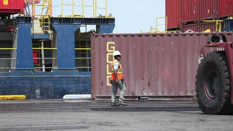 Cargo operations at the port with workers and equipment in action Video stock 318202101