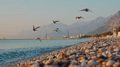 Cargo Port Vidéo 120596210