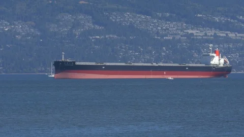 Cargo ship on anchor. Stock-Footage 86170573