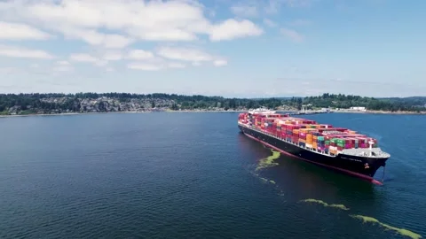 Cargo Ship Anchored in Bay Stock Footage 159374726
