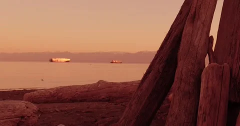 Cargo ship and ferry passing driftwood beach at sunset in Victoria Canada Video stock 334892635
