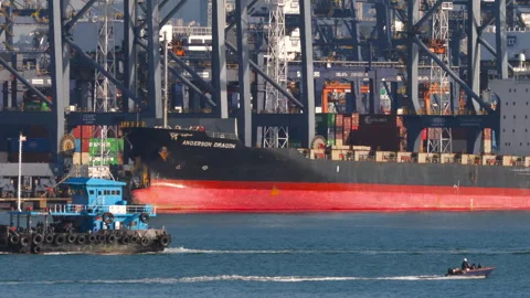 Cargo ship Anderson Dragon docked at Hong Kong container port terminal Stock Footage 340289378