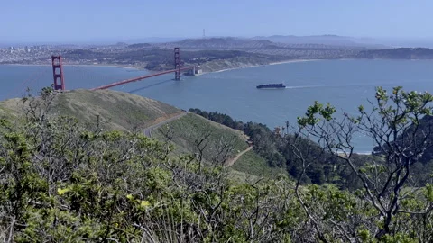 Cargo Ship Approaches Golden Gate Bridge Stock Footage 199819132