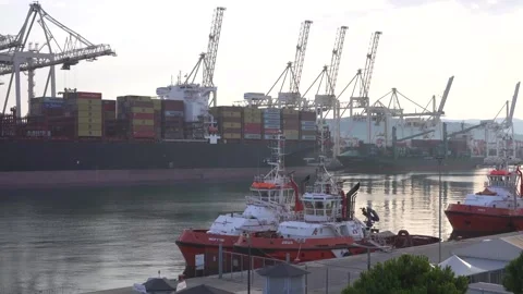 The cargo ship  is being loaded Stock Footage 287745014