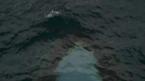 Cargo Ship bulb view Stock Footage 235812397