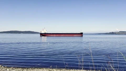 Cargo ship on calm bay water Stock Footage 336878099
