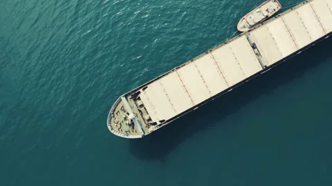 Cargo ship carrying container export goods cargo yard port ocean concept freight Stock Footage 336445559