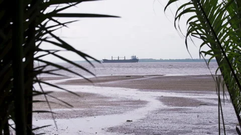 Cargo ship on the coast of Cameroon Stock Footage 255766342