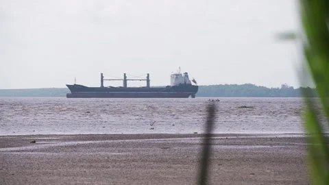 Cargo ship on the coast of Cameroon Stock Footage 255766352