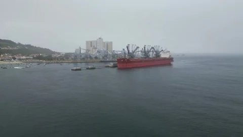 Cargo Ship Docking at Coastal Grain Terminal in Foggy Weather Stock Footage 310613345